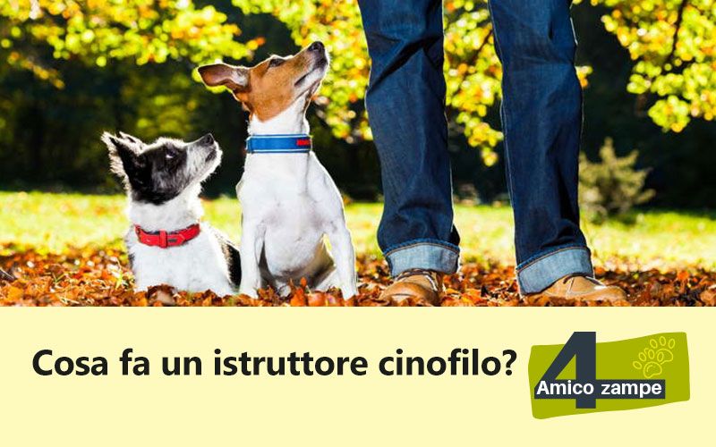 Cosa-fa-un-istruttore_cinofilo